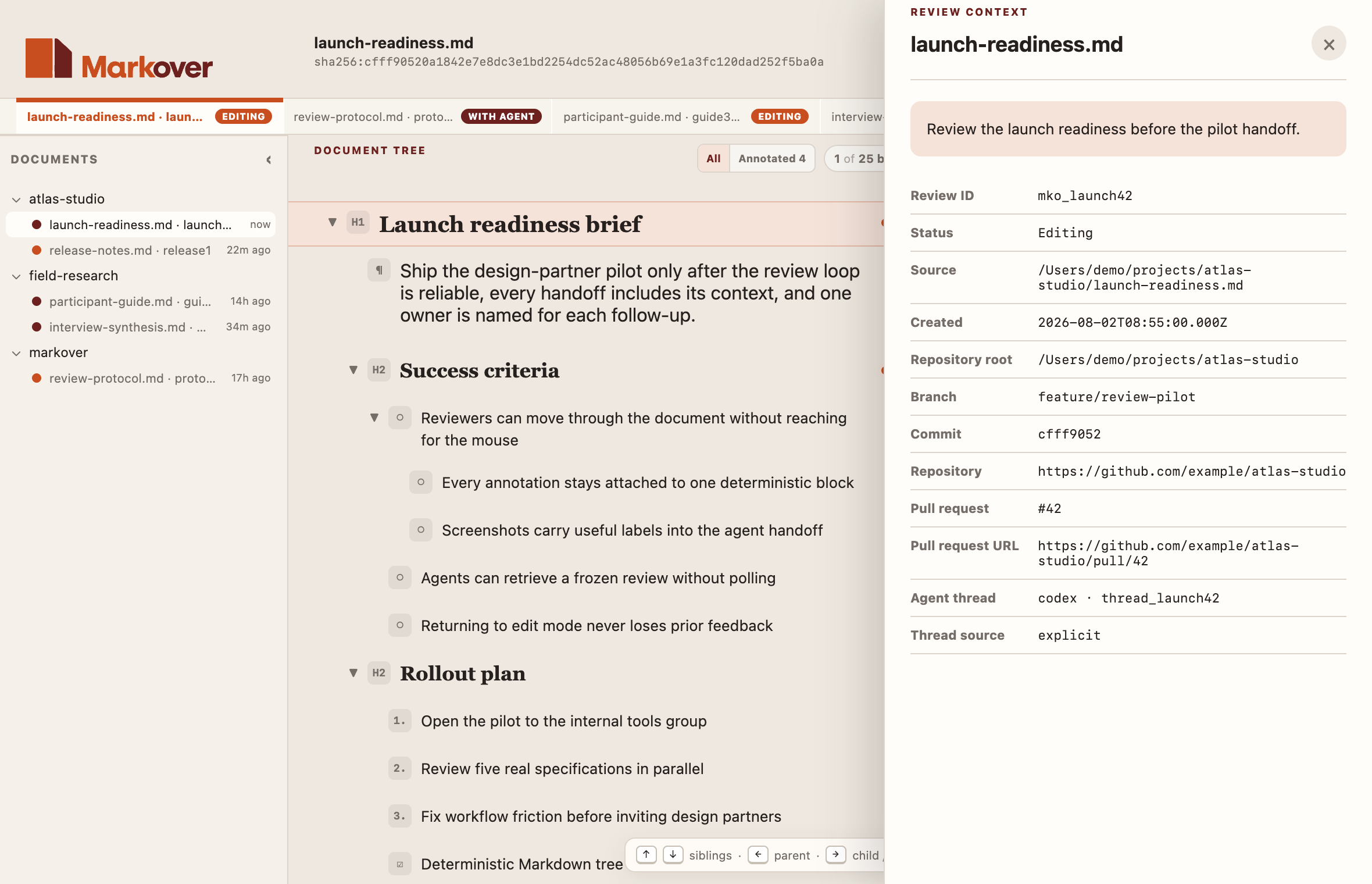 Markover showing review context including review ID, branch, pull request, and agent thread metadata.
